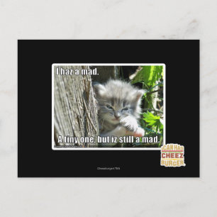 Carte Postale J'ai un fou
