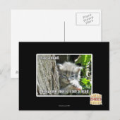 Carte Postale J'ai un fou (Devant / Derrière)