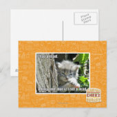 Carte Postale J'ai un fou (Devant / Derrière)