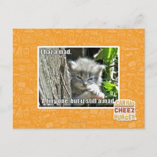 Carte Postale J'ai un fou (Devant)