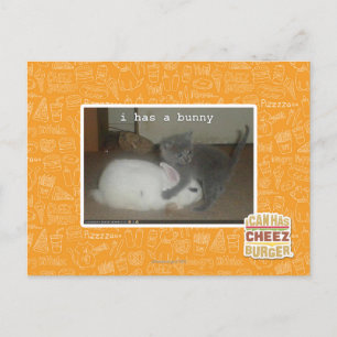 Carte Postale J'ai un lapin