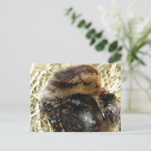 Carte Postale J'ai un problème (Debout devant)