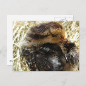 Carte Postale J'ai un problème (Devant / Derrière)