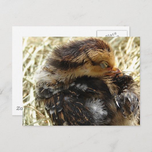 Carte Postale J'ai un problème (Devant / Derrière)