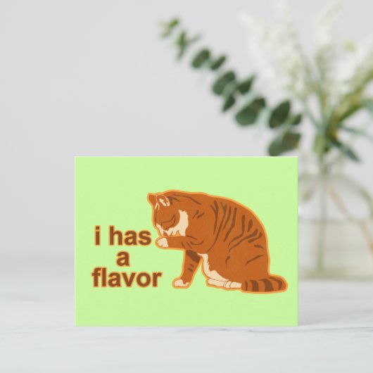 Carte Postale J'ai une saveur, LOL CAT (Debout devant)