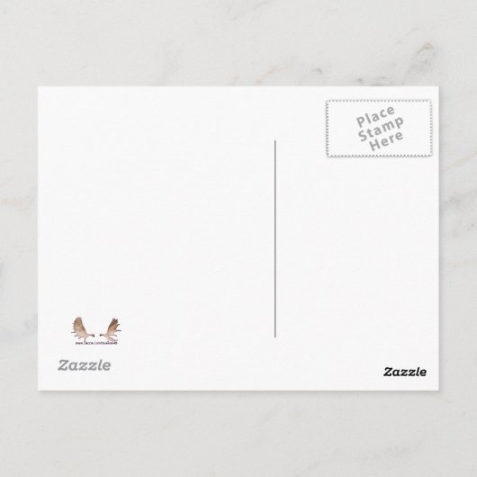 Carte Postale "J'Ai Vu 1" Plaque de licence Sasquatch (Dos)