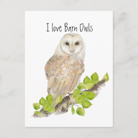Carte Postale J'aime Barn Owls - Bird (Devant)