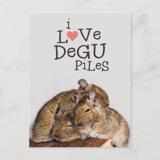Carte Postale J'Aime Degu Piles (Devant)