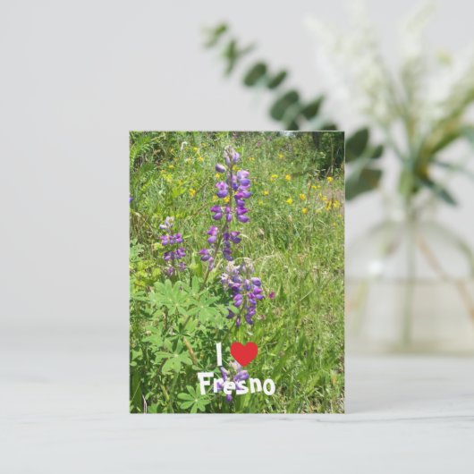 Carte Postale J'aime Fresno (Debout devant)