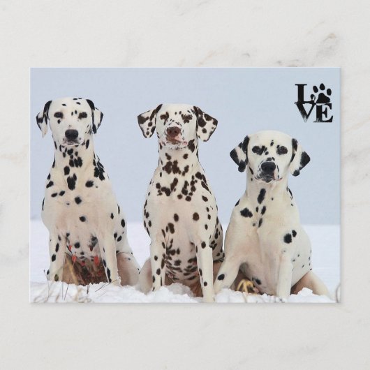 Carte Postale J'aime la Dalmatie (Devant)