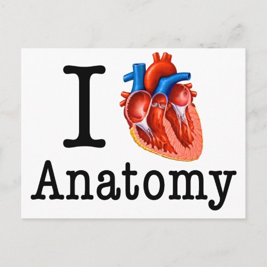 Carte Postale J'aime l'anatomie (Devant)