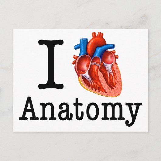Carte Postale J'aime l'anatomie (Devant)