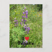 Carte Postale J'aime le Delaware (Devant)