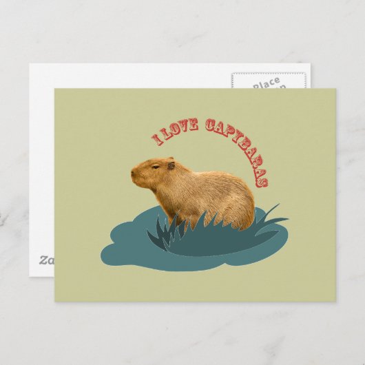 Carte Postale J'aime les capybaras (Devant / Derrière)