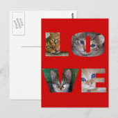Carte Postale J'aime les chats (Devant / Derrière)