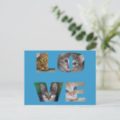 Carte Postale J'aime les chats (Debout devant)