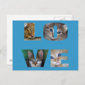 Carte Postale J'aime les chats (Devant / Derrière)