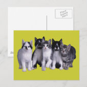 Carte Postale J'aime les chats de Junglewalk.com (Devant / Derrière)