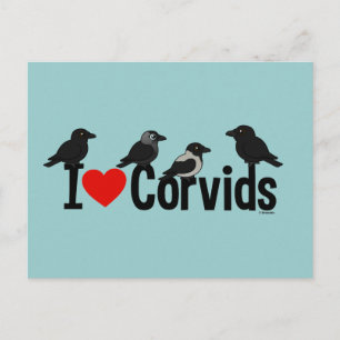 Carte Postale J'Aime Les Corvids
