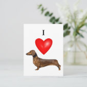Carte Postale J'Aime Les Dachshunds (Debout devant)