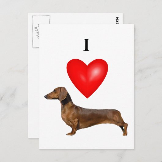 Carte Postale J'Aime Les Dachshunds (Devant / Derrière)
