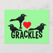 Carte Postale J'Aime Les Grackles (Devant)