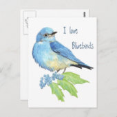 Carte Postale J'aime les oiseaux bleus, collection d'oiseaux (Devant / Derrière)