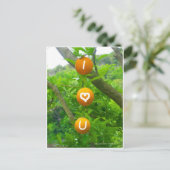 Carte Postale J'aime les oranges (Debout devant)