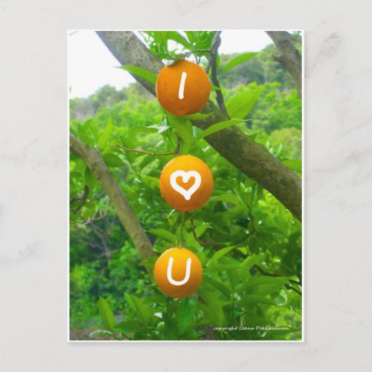 Carte Postale J'aime les oranges (Devant)