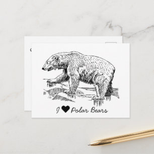 Carte Postale J'aime les ours polaires