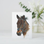 Carte Postale J'aime les poneys (Debout devant)