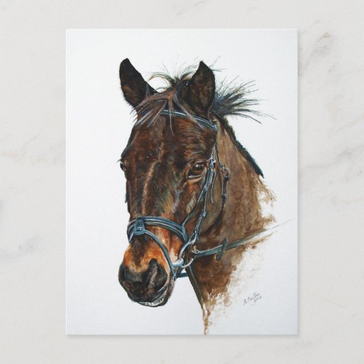 Carte Postale J'aime les poneys (Devant)