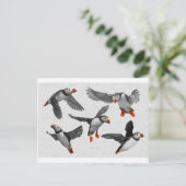 Carte Postale J'Aime Les Puffins ! (Debout devant)