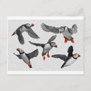 Carte Postale J'Aime Les Puffins !