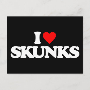 CARTE POSTALE J'AIME LES SKUNKS