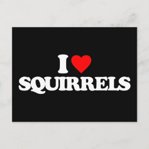 CARTE POSTALE J'AIME LES SQUIRRELS