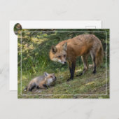 Carte Postale J'aime ma mère (Devant / Derrière)