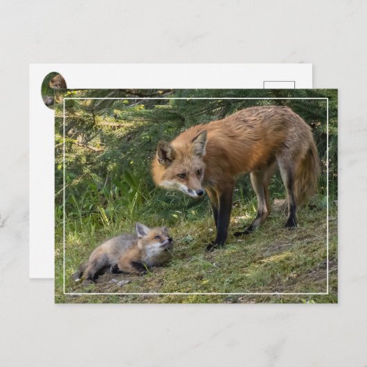 Carte Postale J'aime ma mère (Devant / Derrière)