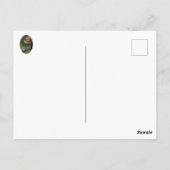 Carte Postale J'aime ma mère (Dos)