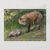 Carte Postale J'aime ma mère (Devant)