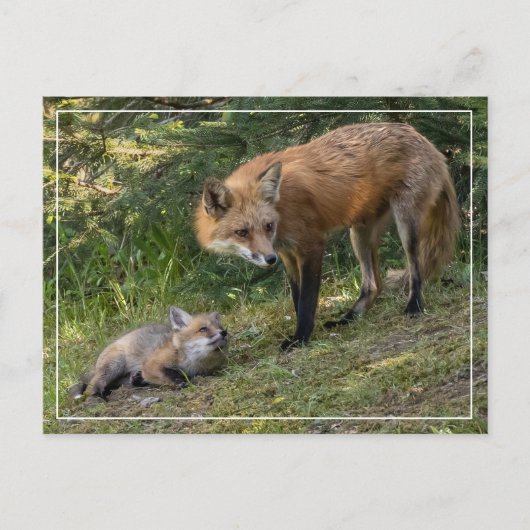 Carte Postale J'aime ma mère (Devant)