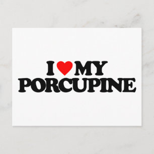 CARTE POSTALE J'AIME MA PORCUPINE