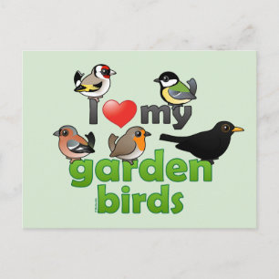 Carte Postale J'Aime Mes Oiseaux De Jardin