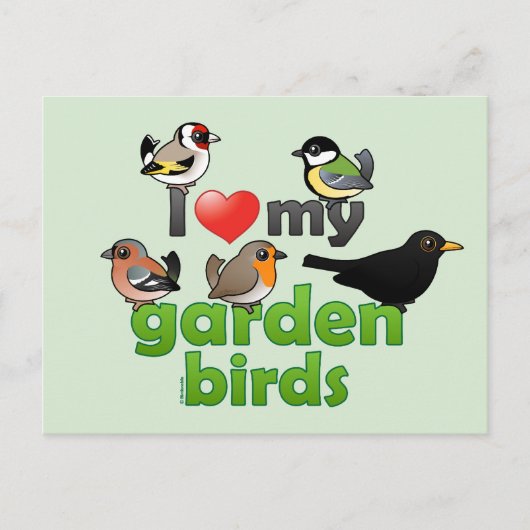 Carte Postale J'Aime Mes Oiseaux De Jardin (Devant)