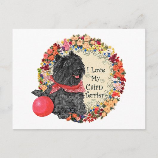 Carte Postale J'aime mon Cairn Terrier (Devant)