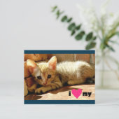 Carte Postale J'aime mon chat (Debout devant)