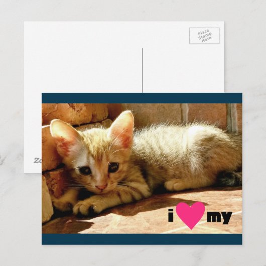 Carte Postale J'aime mon chat (Devant / Derrière)