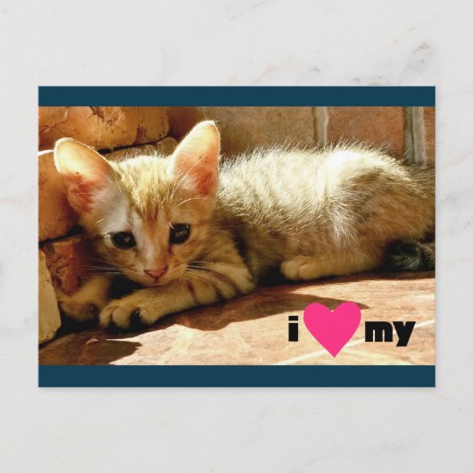 Carte Postale J'aime mon chat (Devant)