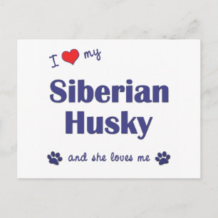 Carte Postale J'Aime Mon Husky Sibérien (Chien Féminin)