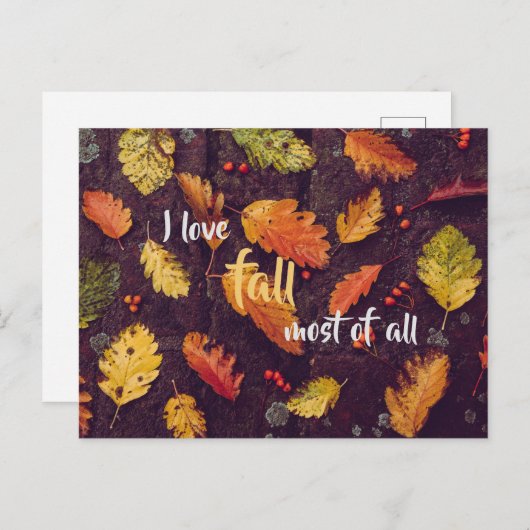 Carte Postale J'aime tomber surtout / automne (Devant / Derrière)